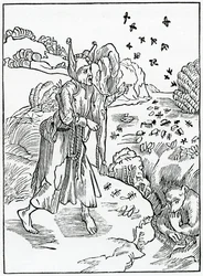Des fous sans provision, qui ne prévoient rien en été pour vivre en hiver ni en jeunesse pour vivre en vieillesse, illustration de la traduction anglaise d